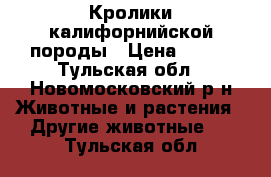 Кролики калифорнийской породы › Цена ­ 350 - Тульская обл., Новомосковский р-н Животные и растения » Другие животные   . Тульская обл.